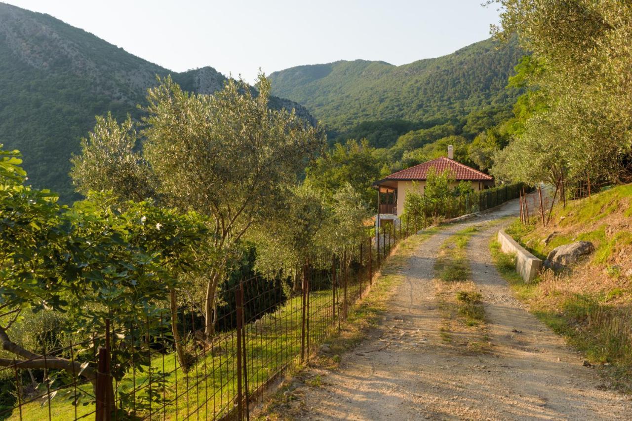 Sunset Holiday Home Tivat Exterior foto